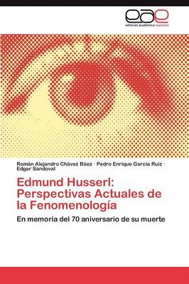 Edmund Husserl: Perspectivas Actuales de La Fenomenologia (Paperback)