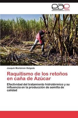 Raquitismo de Los Retonos En Cana de Azucar (Paperback)
