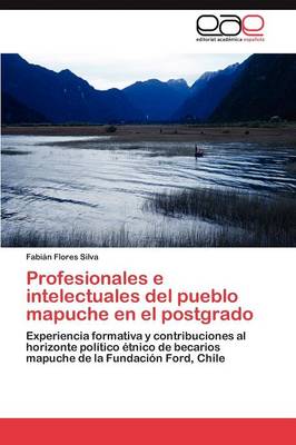 Profesionales E Intelectuales del Pueblo Mapuche En El Postgrado (Paperback)