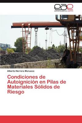 Condiciones de Autoignicion En Pilas de Materiales Solidos de Riesgo (Paperback)