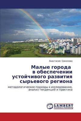 Malye Goroda V Obespechenii Ustoychivogo Razvitiya Syr'evogo Regiona (Paperback)