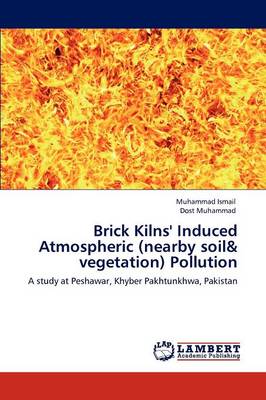 Brick Kilns' Induced Atmospheric (Nearby Soil & Vegetation) Pollution (Paperback)