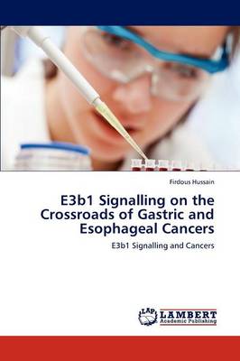 E3b1 Signalling on the Crossroads of Gastric and Esophageal Cancers (Paperback)