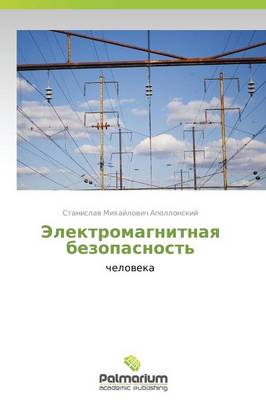 Elektromagnitnaya Bezopasnost' (Paperback)