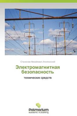 Elektromagnitnaya Bezopasnost' (Paperback)