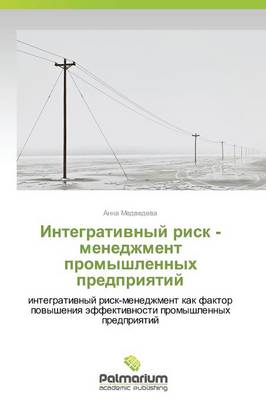 Integrativnyy Risk - Menedzhment Promyshlennykh Predpriyatiy (Paperback)