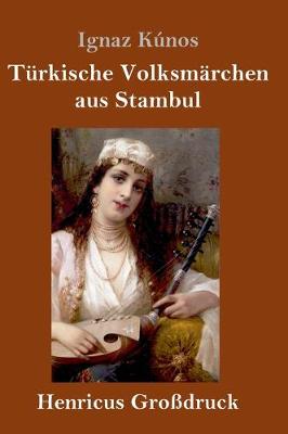 Turkische Volksmarchen aus Stambul (Grossdruck) (Hardback)
