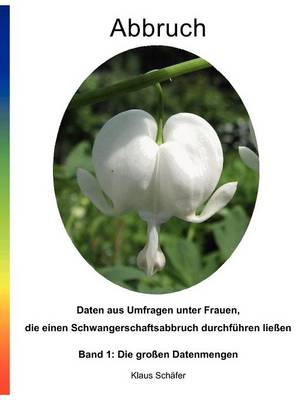 Abbruch (Paperback)