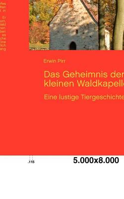 Das Geheimnis Der Kleinen Waldkapelle (Paperback)