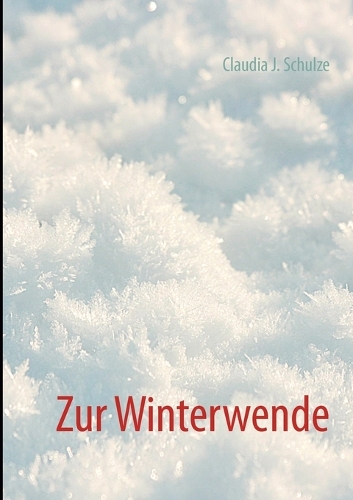 Winterwende (Paperback)