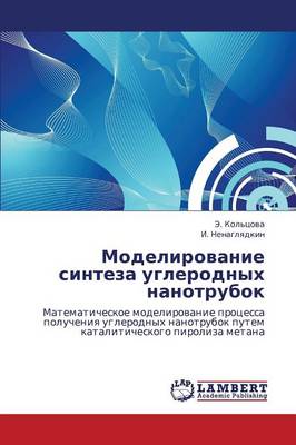 Modelirovanie Sinteza Uglerodnykh Nanotrubok (Paperback)
