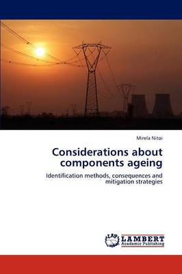 Considerations about Components Ageing (Paperback)