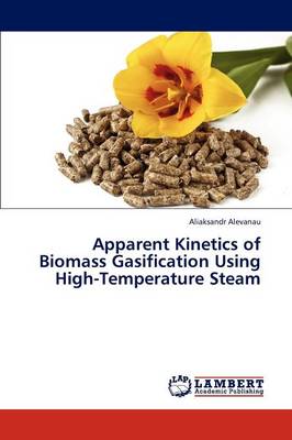 Apparent Kinetics of Biomass Gasification Using High-Temperature Steam (Paperback)
