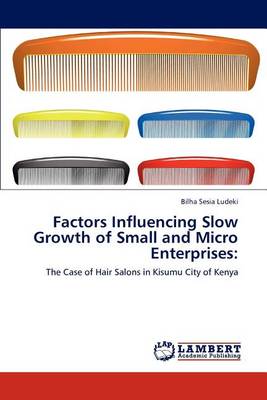 Factors Influencing Slow Growth of Small and Micro Enterprises (Paperback)