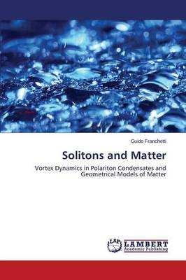 Solitons and Matter (Paperback)