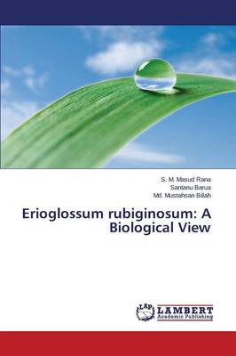 Erioglossum Rubiginosum: A Biological View (Paperback)