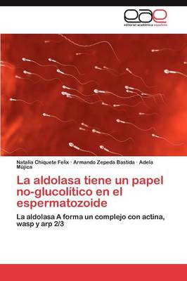 La Aldolasa Tiene Un Papel No-Glucolitico En El Espermatozoide (Paperback)