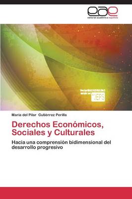 Derechos Economicos, Sociales y Culturales (Paperback)