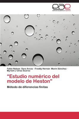 Estudio Numerico del Modelo de Heston (Paperback)
