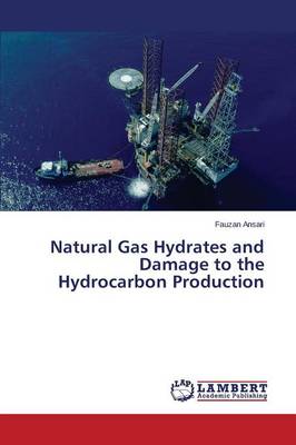 Natural Gas Hydrates and Damage to the Hydrocarbon Production (Paperback)