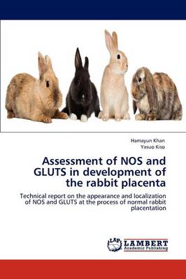 Assessment of Nos and Gluts in Development of the Rabbit Placenta (Paperback)