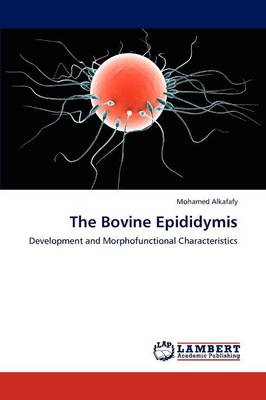The Bovine Epididymis (Paperback)