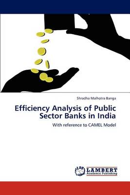 Efficiency Analysis of Public Sector Banks in India (Paperback)