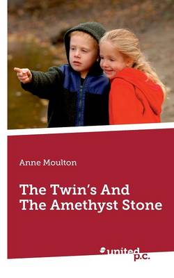 The Twins and the Amethyst Stone (Paperback)