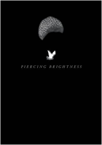 Shezad Dawood: Piercing Brightness (Hardback)