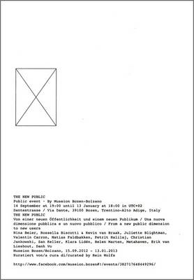 The New Public: From a New Public Dimension to New Users (Paperback)