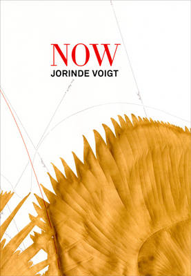 Jorinde Voigt: Now (Paperback)