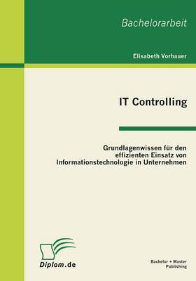 It Controlling: Grundlagenwissen Fur Den Effizienten Einsatz Von Informationstechnologie in Unternehmen (Paperback)