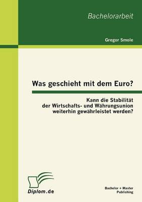 Was Geschieht Mit Dem Euro? Kann Die Stabilit T Der Wirtschafts- Und W Hrungsunion Weiterhin Gew Hrleistet Werden? (Paperback)