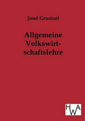 Allgemeine Volkswirtschaftslehre (Paperback)