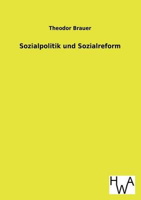 Sozialpolitik Und Sozialreform (Paperback)