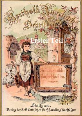 Schwarzwalder Dorfgeschichten (Paperback)