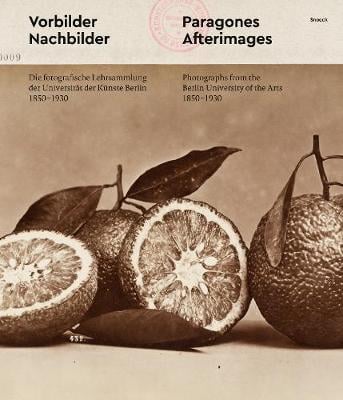 Paragons and Afterimages (Paperback)