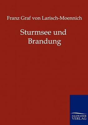 Sturmsee Und Brandung (Paperback)