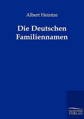 Die Deutschen Familiennamen (Paperback)