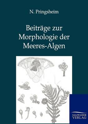 Beitrage Zur Morphologie Der Meeres-Algen (Paperback)