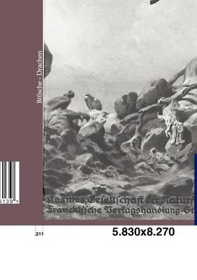 Drachen (Paperback)