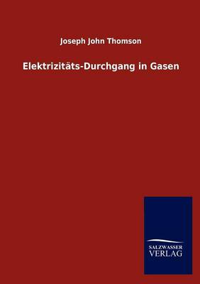 Elektrizit Ts-Durchgang in Gasen (Paperback)