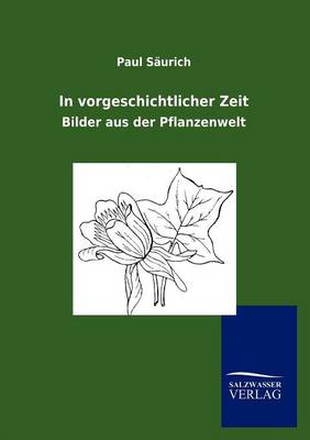 In Vorgeschichtlicher Zeit (Paperback)