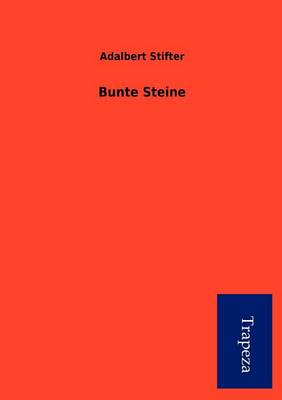 Bunte Steine (Paperback)