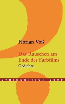 Das Rauschen Am Ende Des Farbfilms (Paperback)