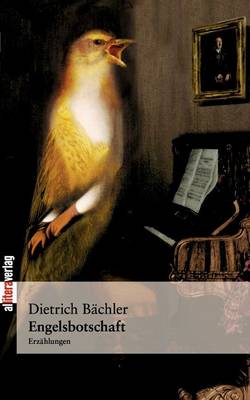 Engelsbotschaft (Paperback)