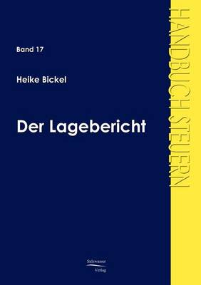 Der Lagebericht (Paperback)