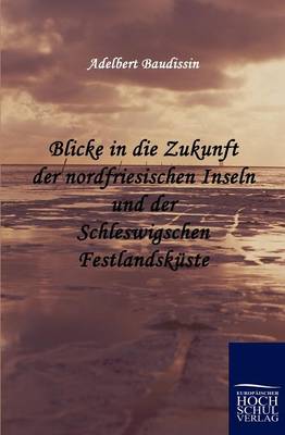 Blicke in Die Zukunft Der Nordfriesischen Inseln Und Der Schleswigschen Festlandsk Ste (Paperback)