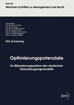 Optimierungspotenziale Im Bilanzierungssystem Des Deutschen Gasnetzzugangsmodells (Paperback)