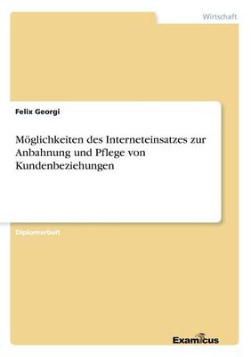 Moglichkeiten Des Interneteinsatzes Zur Anbahnung Und Pflege Von Kundenbeziehungen (Paperback)